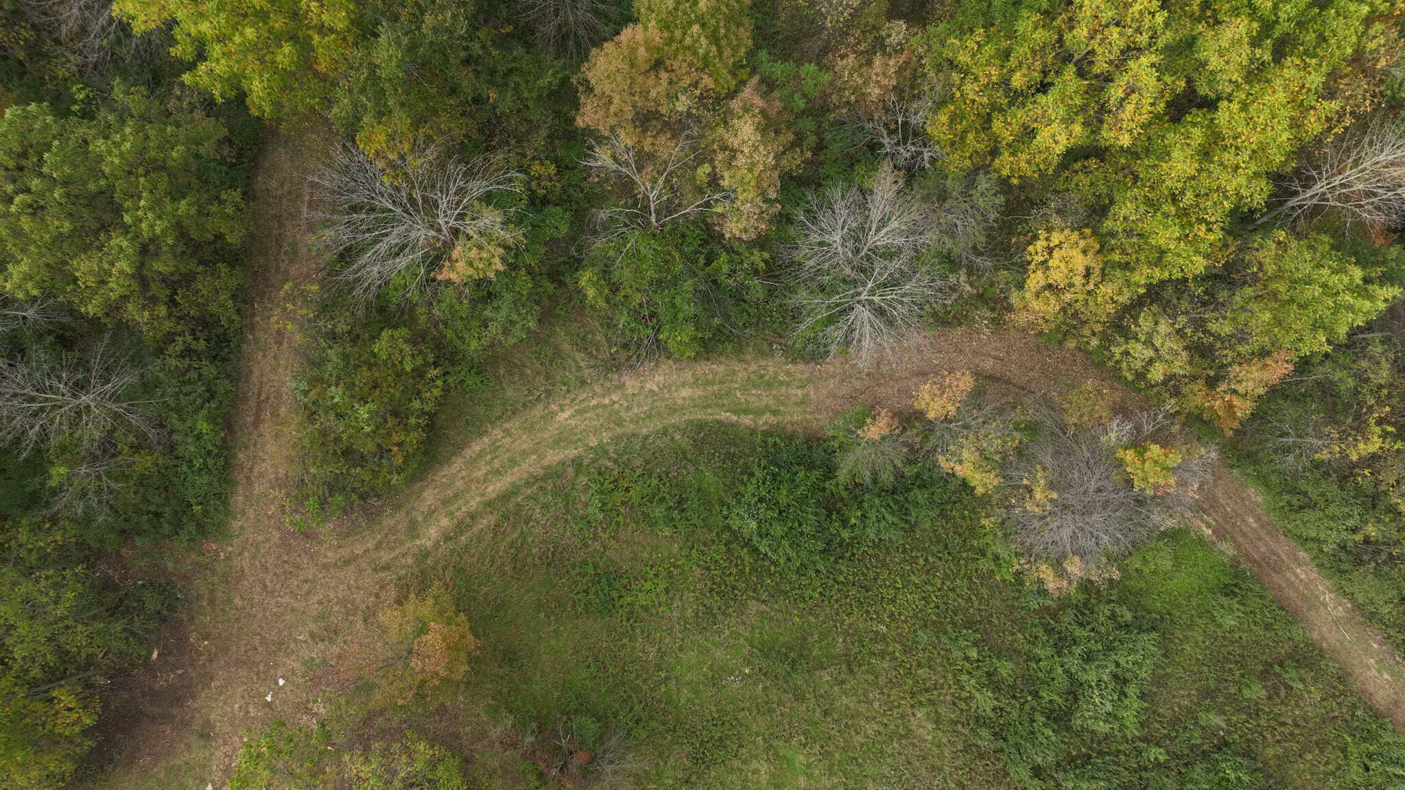 58.89-Acre Hunting Camp & Whitetail Retreat | Blue River, Wisconsin