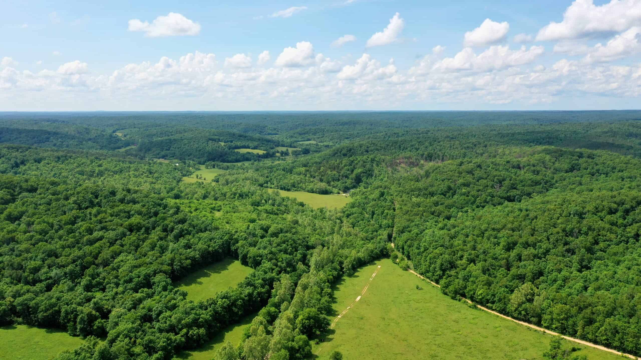473 ± Acre Ozark Farm for Sale Near Salem, Missouri