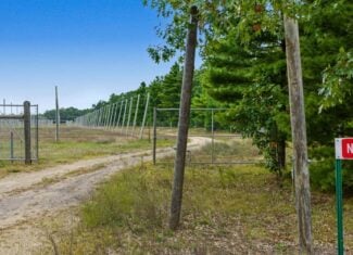 34.5± acre high-ground property in the Town of Bear Bluff