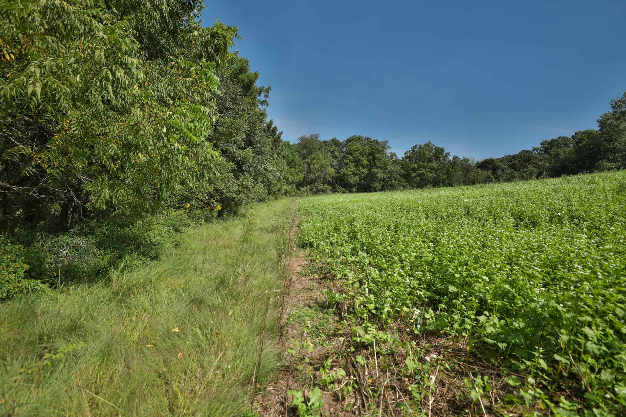 The Blue Mounds 32 — A Private Whitetail Hunting Retreat in Iowa County, Wisconsin