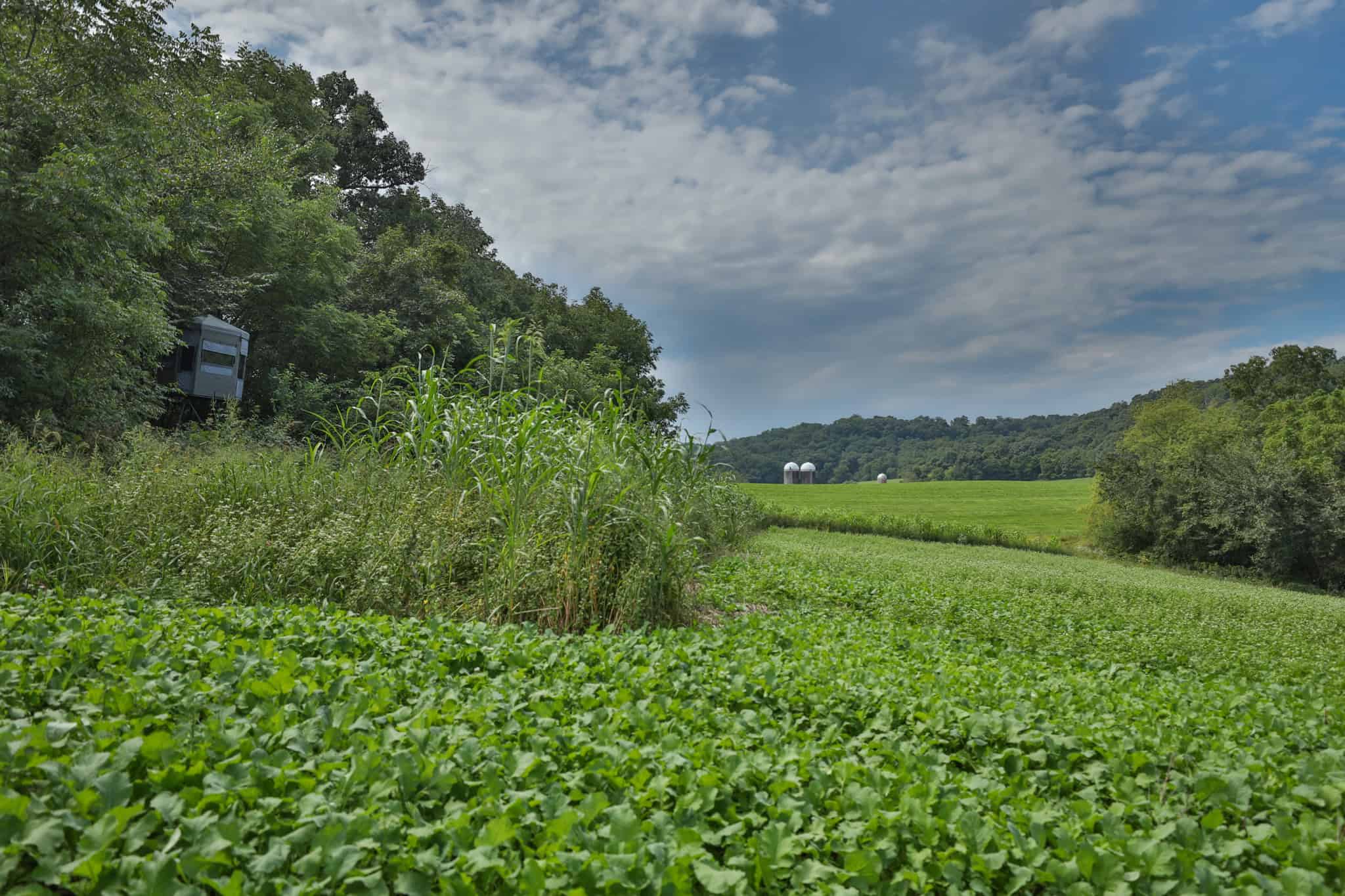 The Blue Mounds 32 — A Private Whitetail Hunting Retreat in Iowa County, Wisconsin