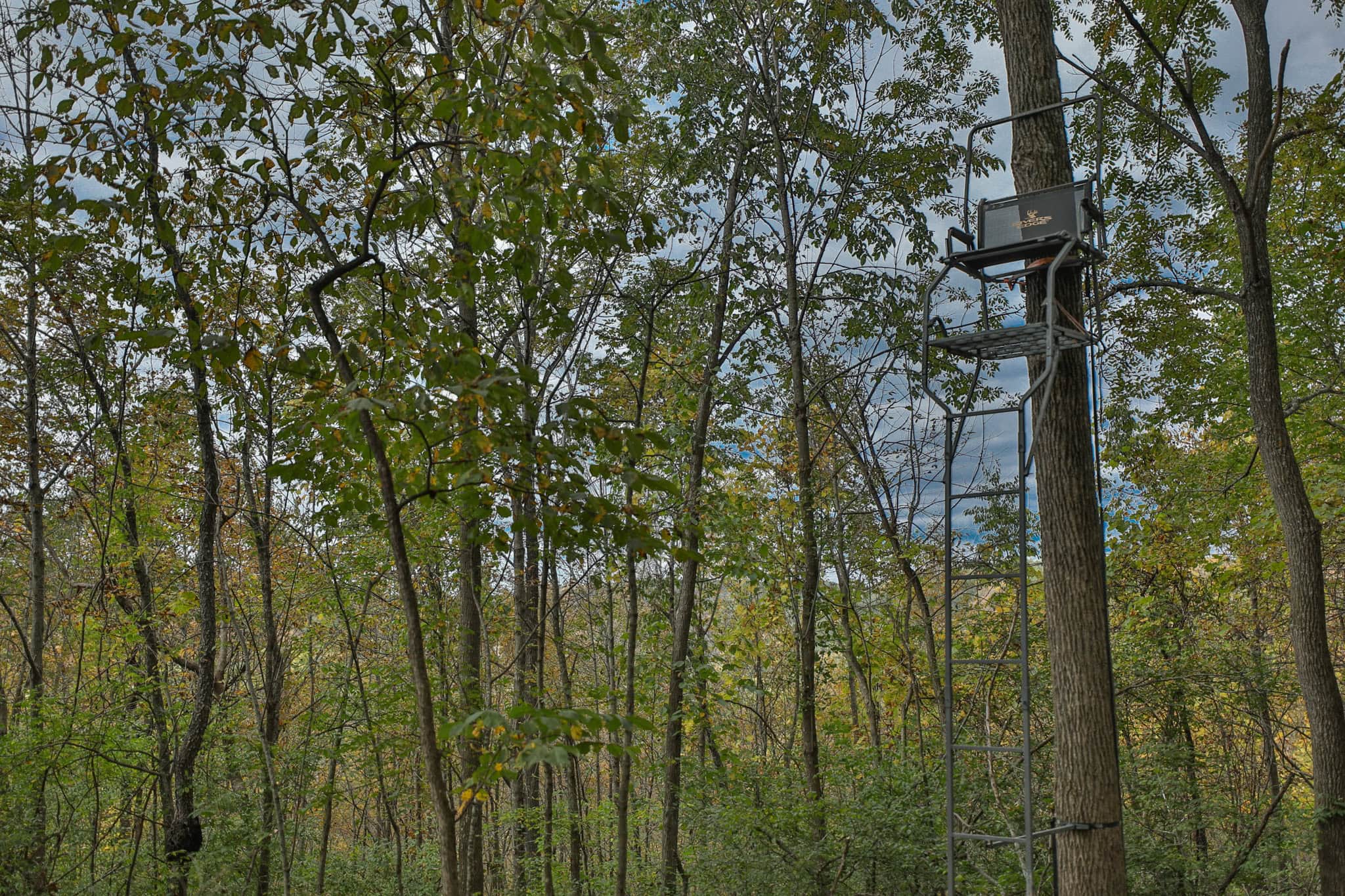 58.89-Acre Hunting Camp & Whitetail Retreat | Blue River, Wisconsin