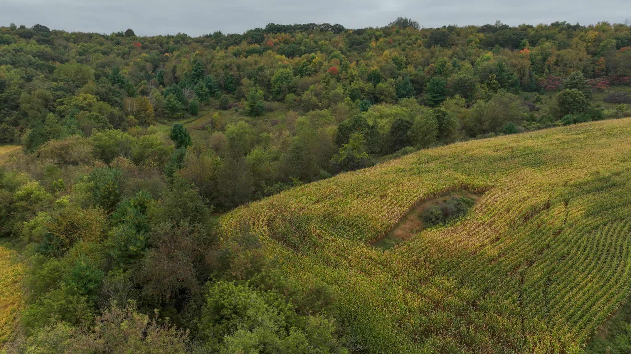 37.61-Acre Trophy Whitetail & Recreational Property | Hixton, Wisconsin