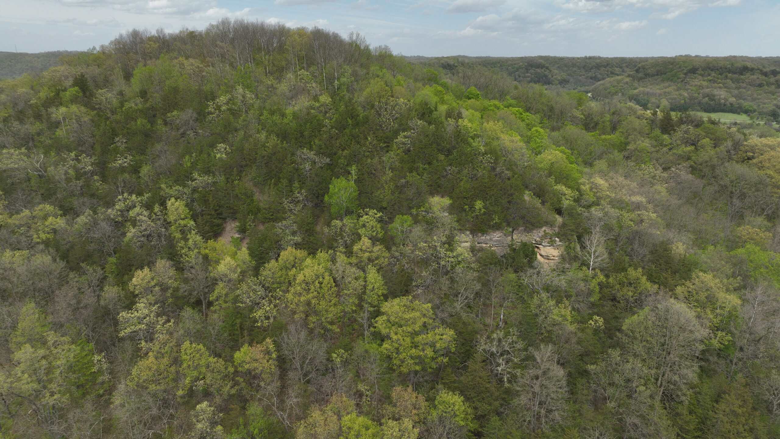 34.83-Acre Southwest Wisconsin Hunting Retreat | Viola, Wisconsin