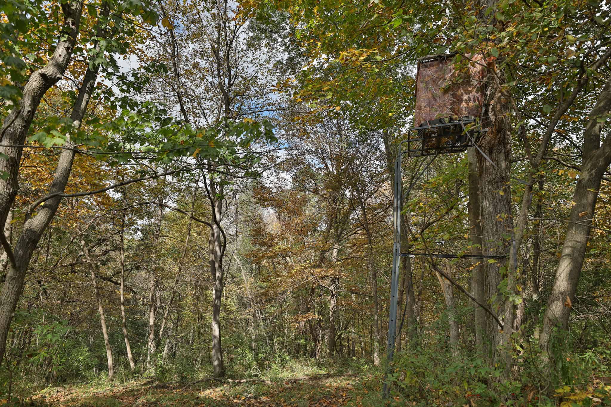 58.89-Acre Hunting Camp & Whitetail Retreat | Blue River, Wisconsin