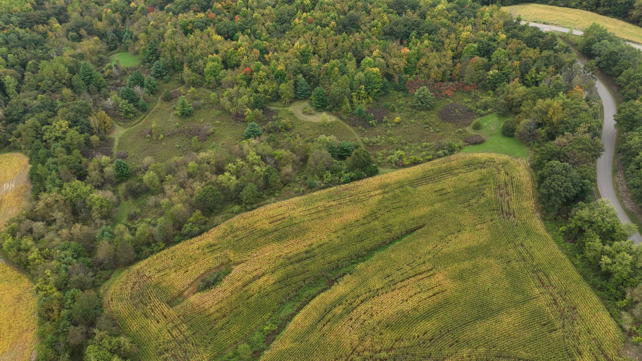 37.61-Acre Trophy Whitetail & Recreational Property | Hixton, Wisconsin