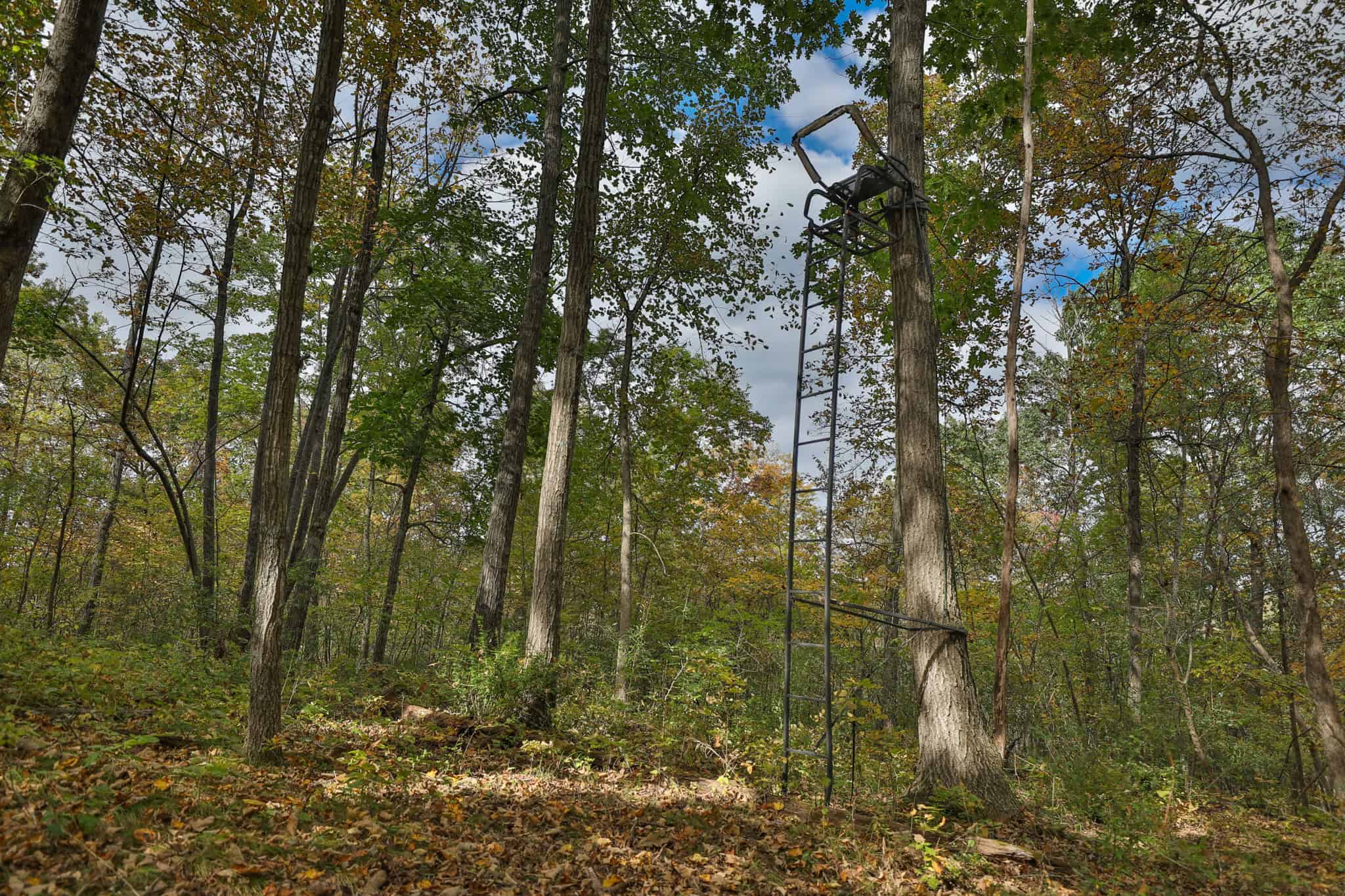 58.89-Acre Hunting Camp & Whitetail Retreat | Blue River, Wisconsin