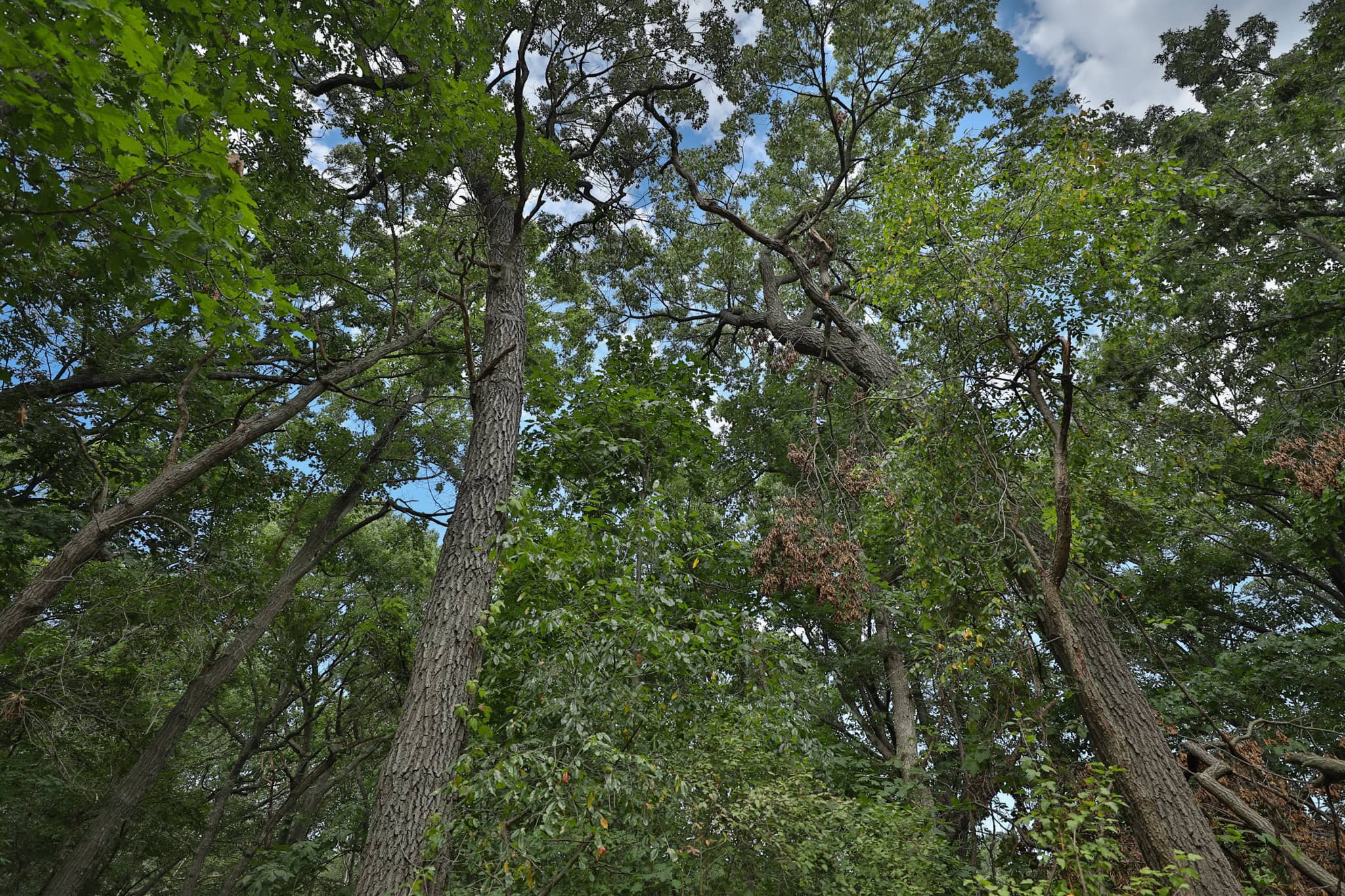 The Blue Mounds 32 — A Private Whitetail Hunting Retreat in Iowa County, Wisconsin
