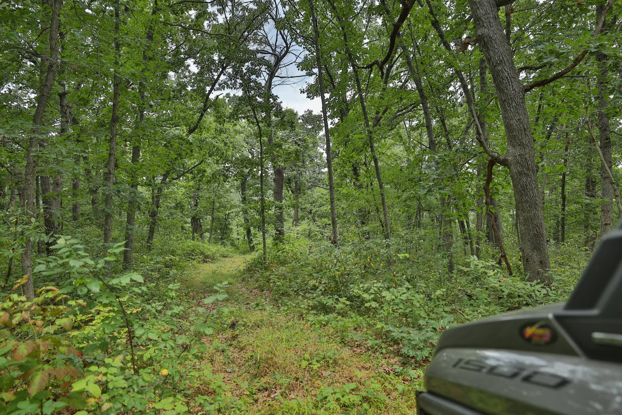 The Blue Mounds 32 — A Private Whitetail Hunting Retreat in Iowa County, Wisconsin