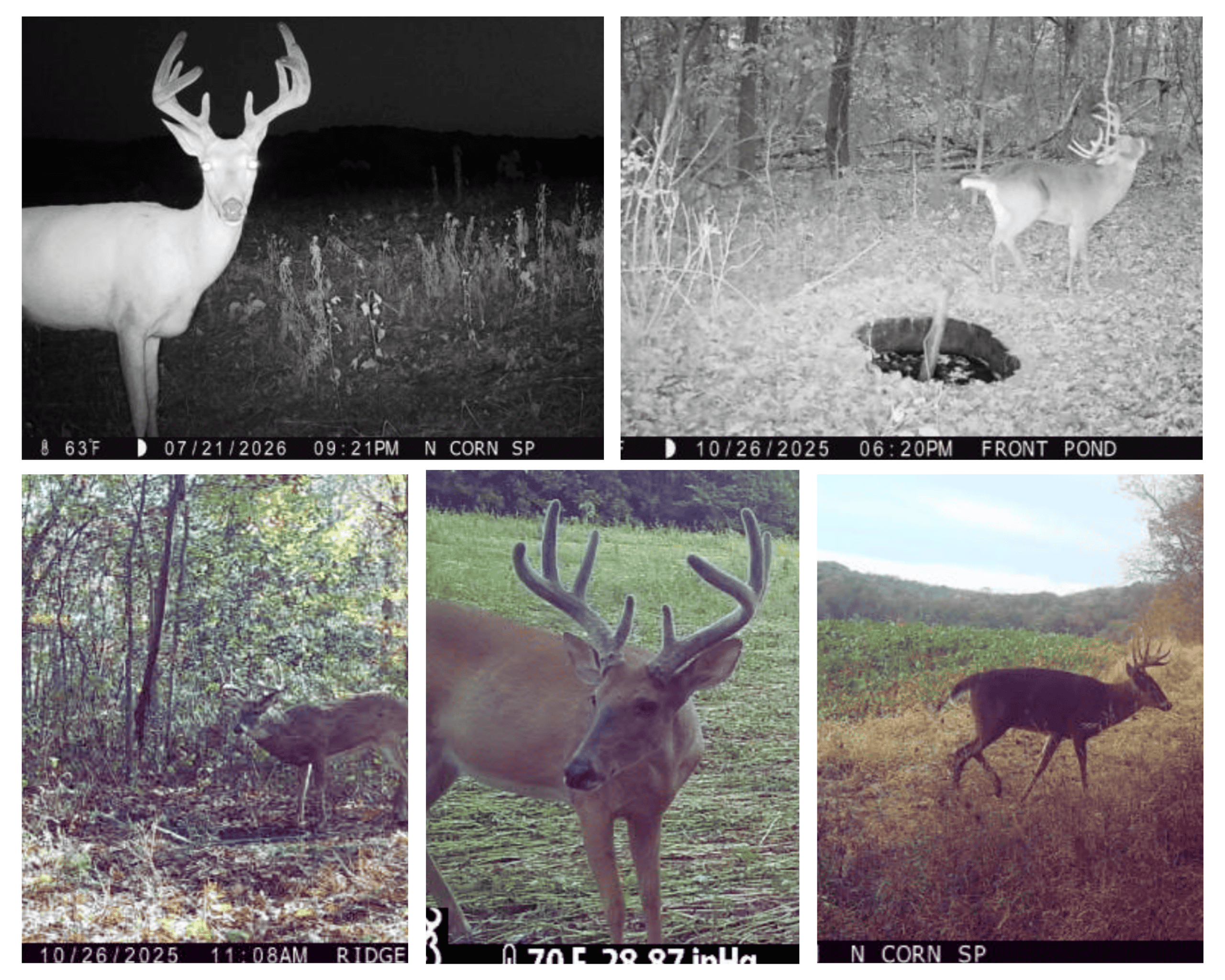 The Blue Mounds 32 — A Private Whitetail Hunting Retreat in Iowa County, Wisconsin
