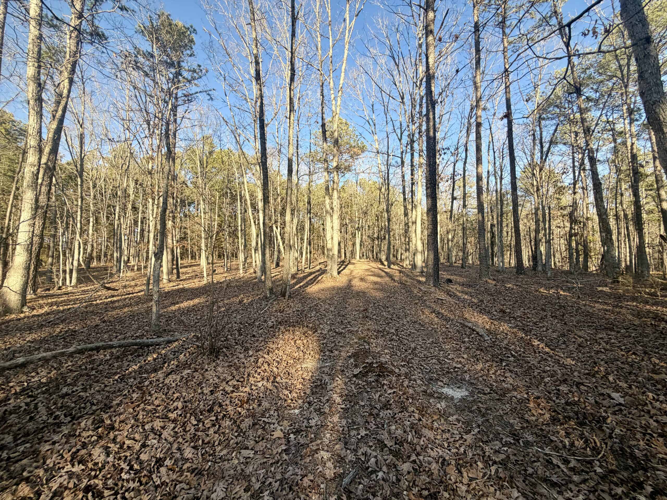 20 ± Acre Wooded Land for Sale in Salem, MO