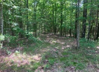 5± Acres of Wooded Hunting & Recreational Land with Creek in SE Oklahoma