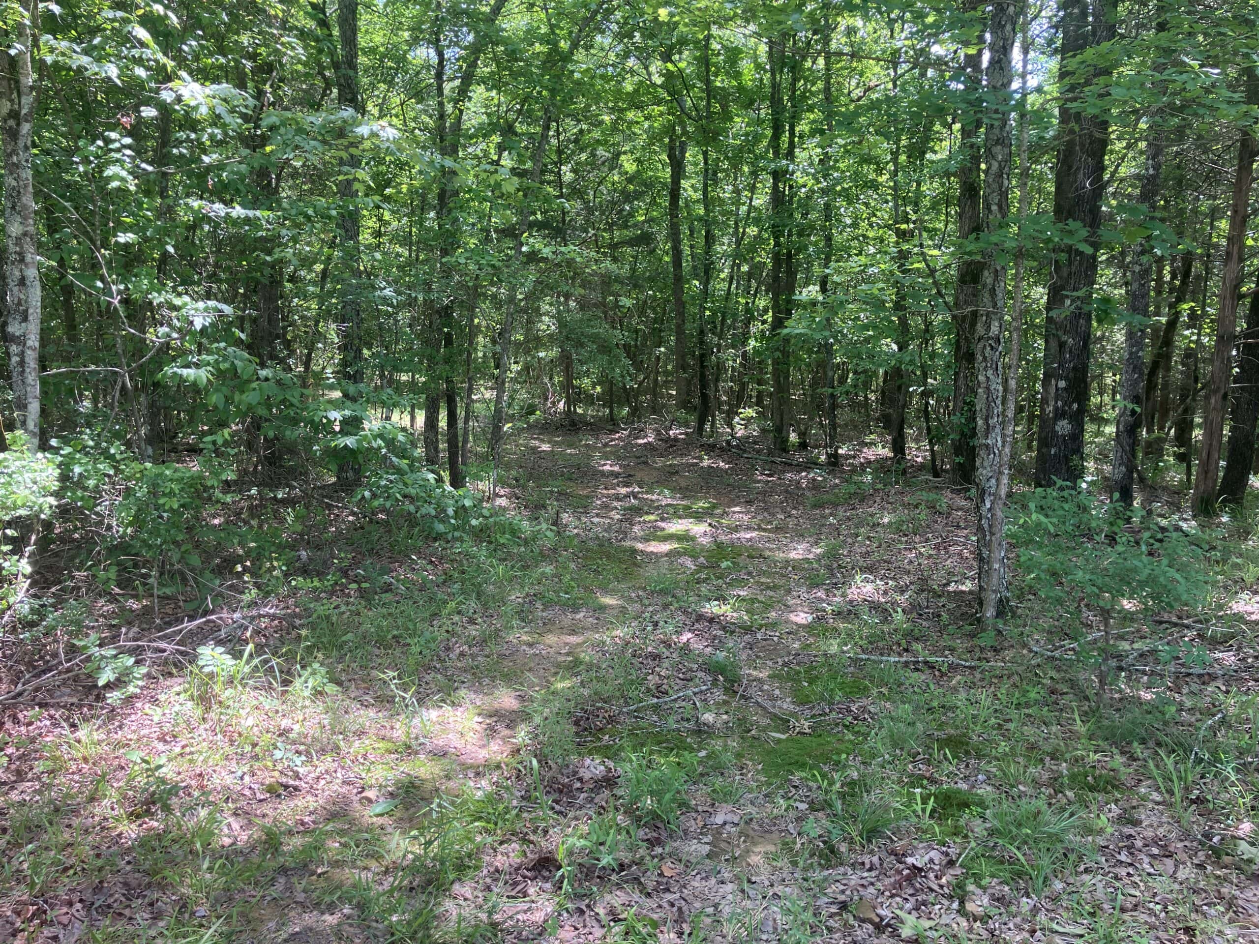 5± Acres of Wooded Hunting & Recreational Land with Creek in SE Oklahoma
