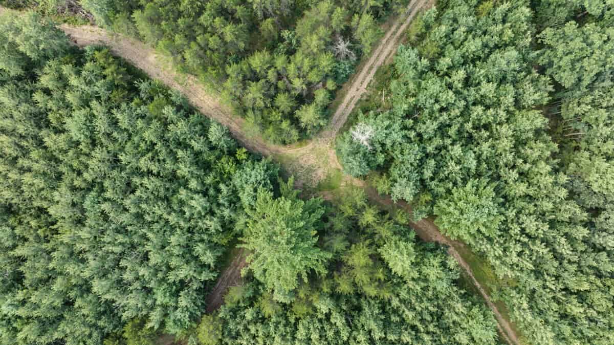117± Acres of Irrigated Farmland and Trophy Whitetail Habitat — Adams County, Wisconsin