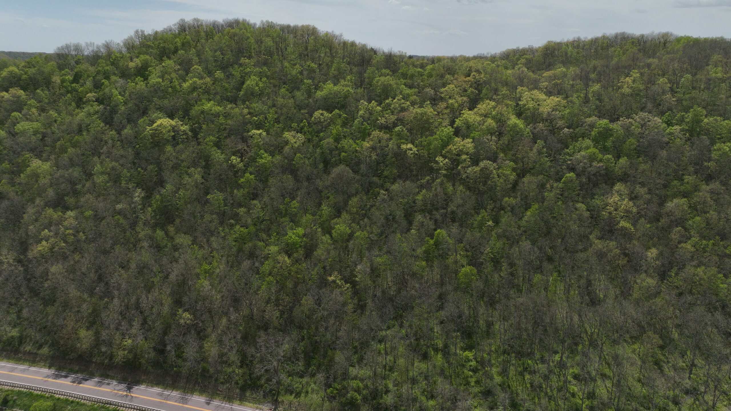 34.83-Acre Southwest Wisconsin Hunting Retreat | Viola, Wisconsin