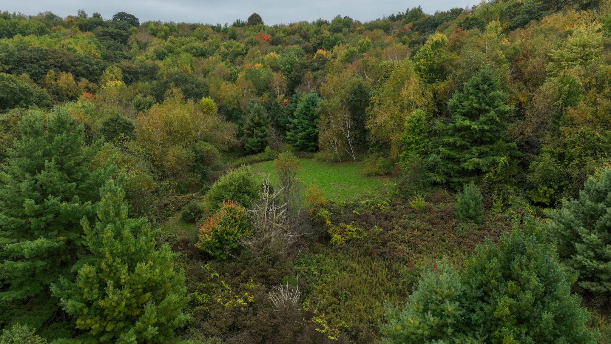 37.61-Acre Trophy Whitetail & Recreational Property | Hixton, Wisconsin