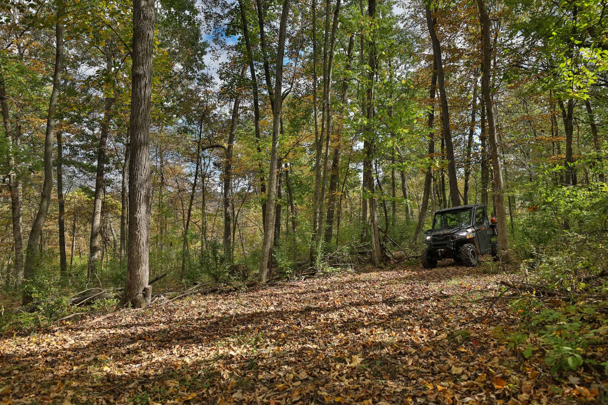 58.89-Acre Hunting Camp & Whitetail Retreat | Blue River, Wisconsin