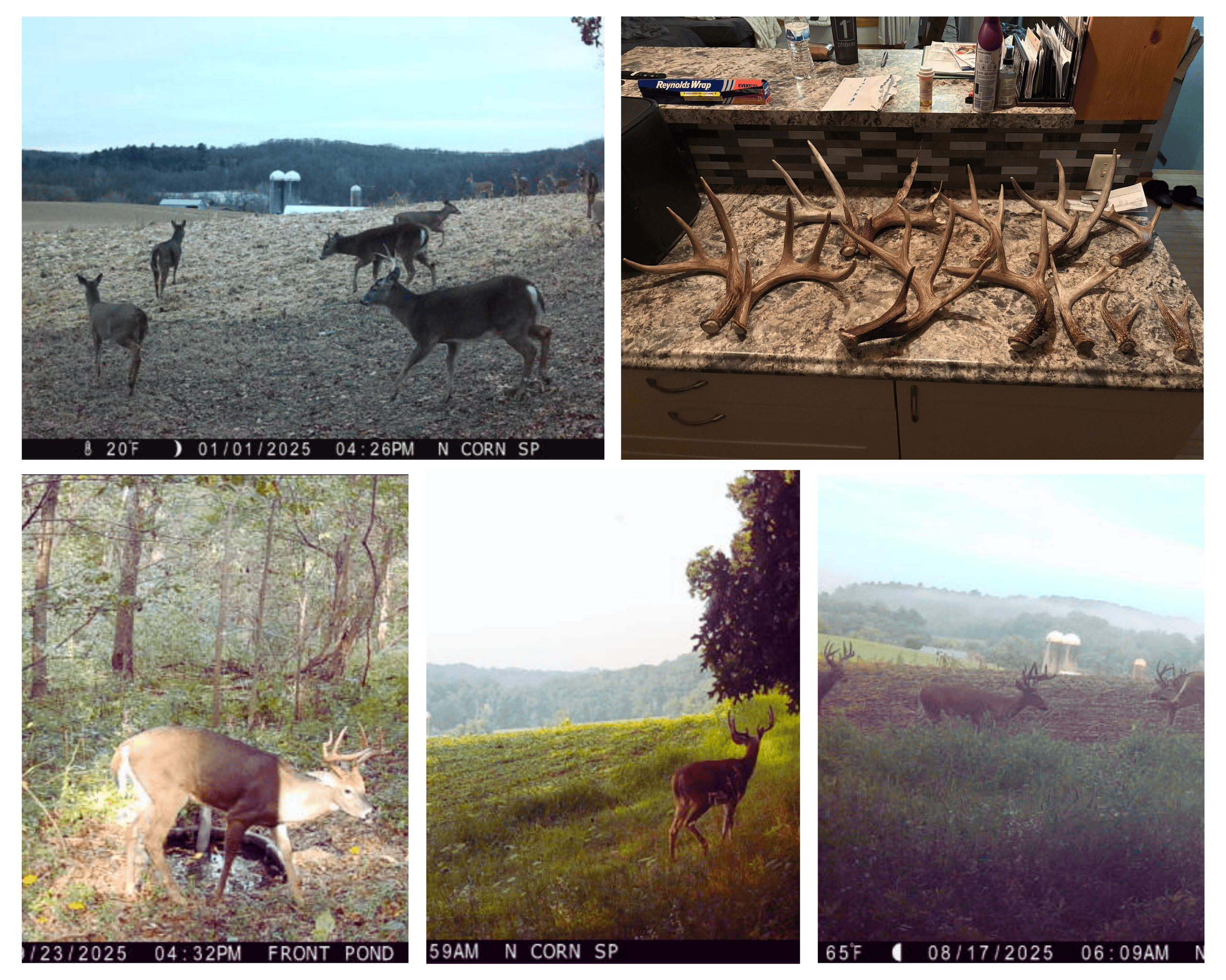 The Blue Mounds 32 — A Private Whitetail Hunting Retreat in Iowa County, Wisconsin