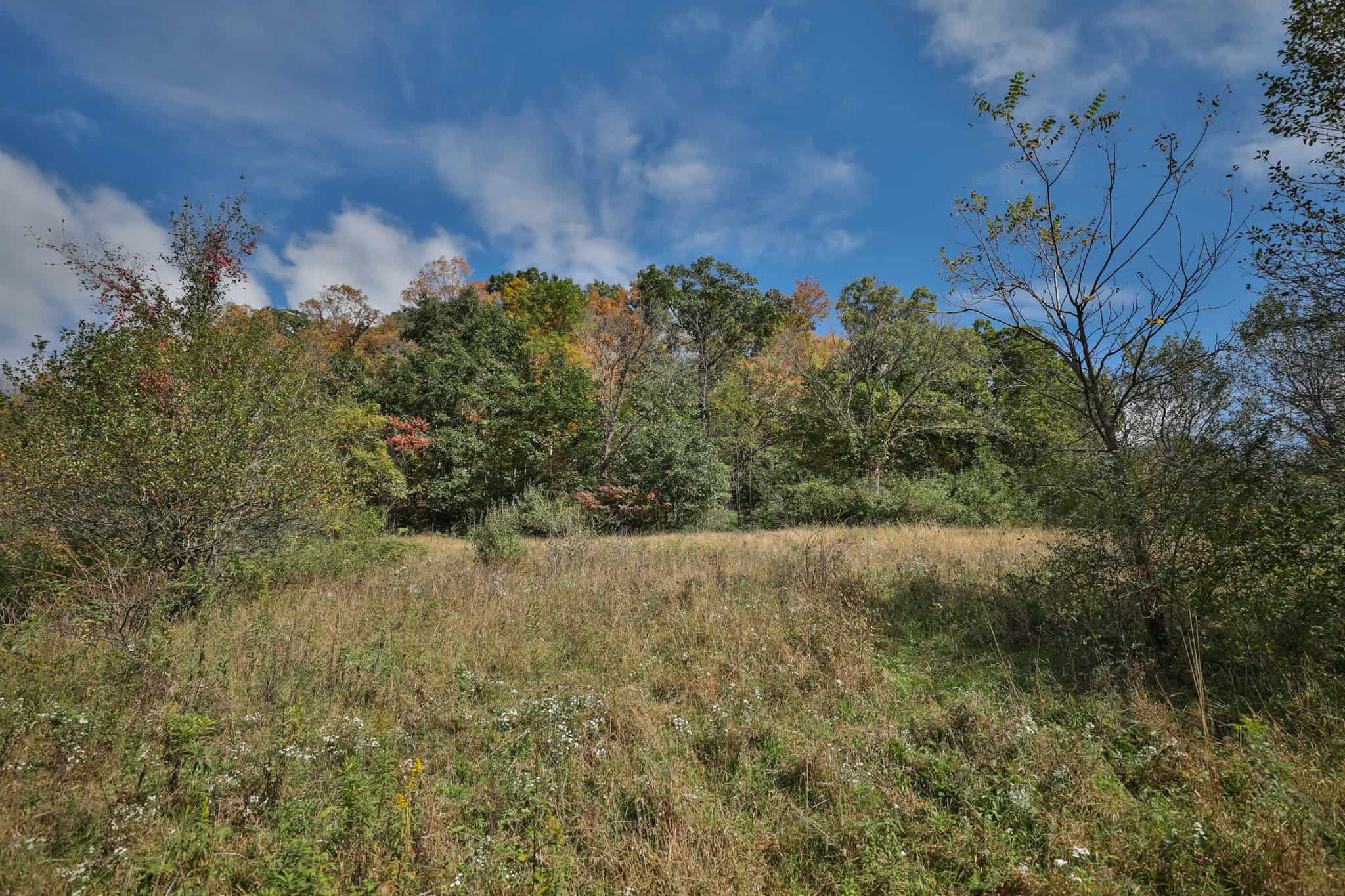 58.89-Acre Hunting Camp & Whitetail Retreat | Blue River, Wisconsin
