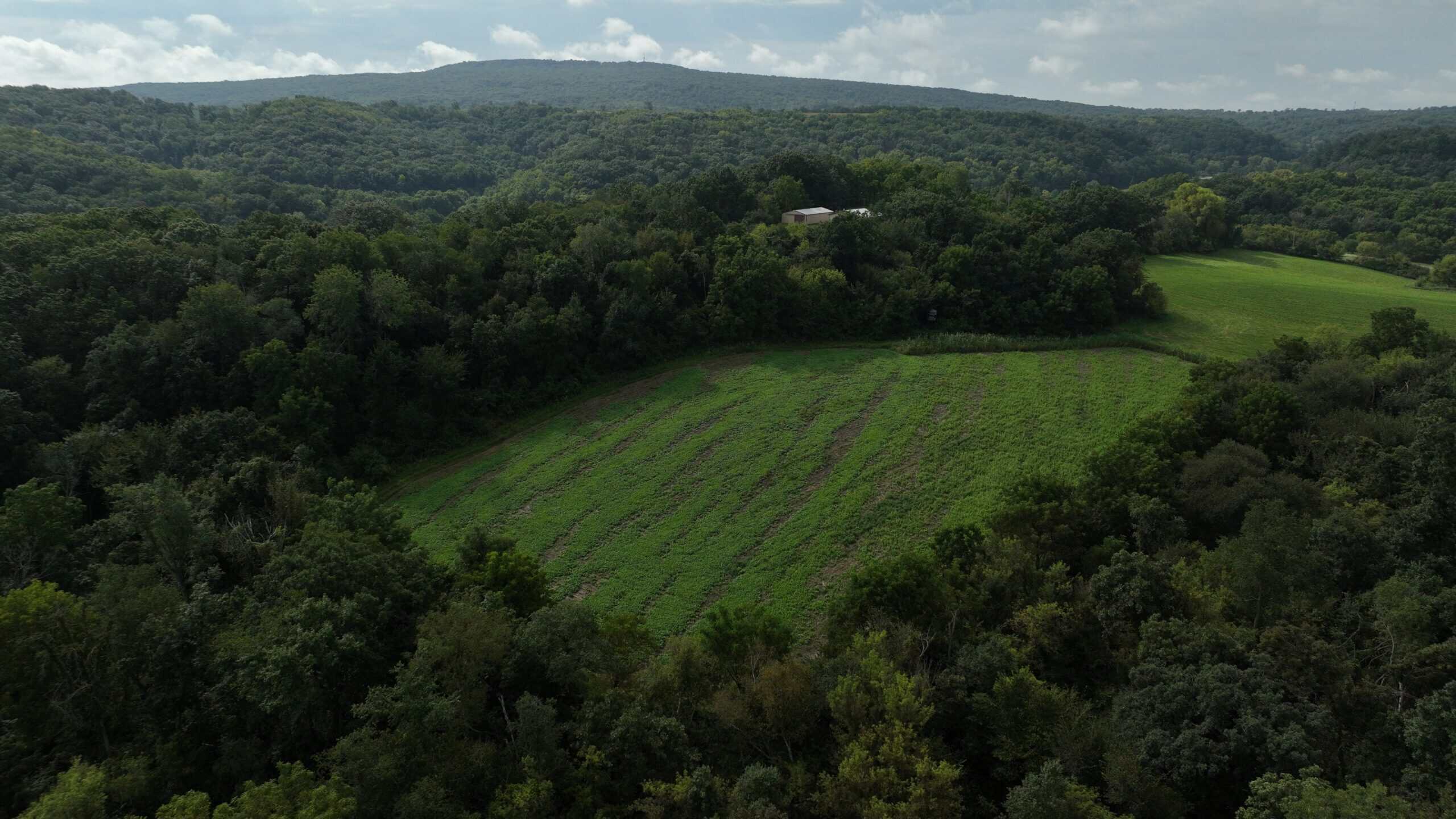 The Blue Mounds 32 — A Private Whitetail Hunting Retreat in Iowa County, Wisconsin