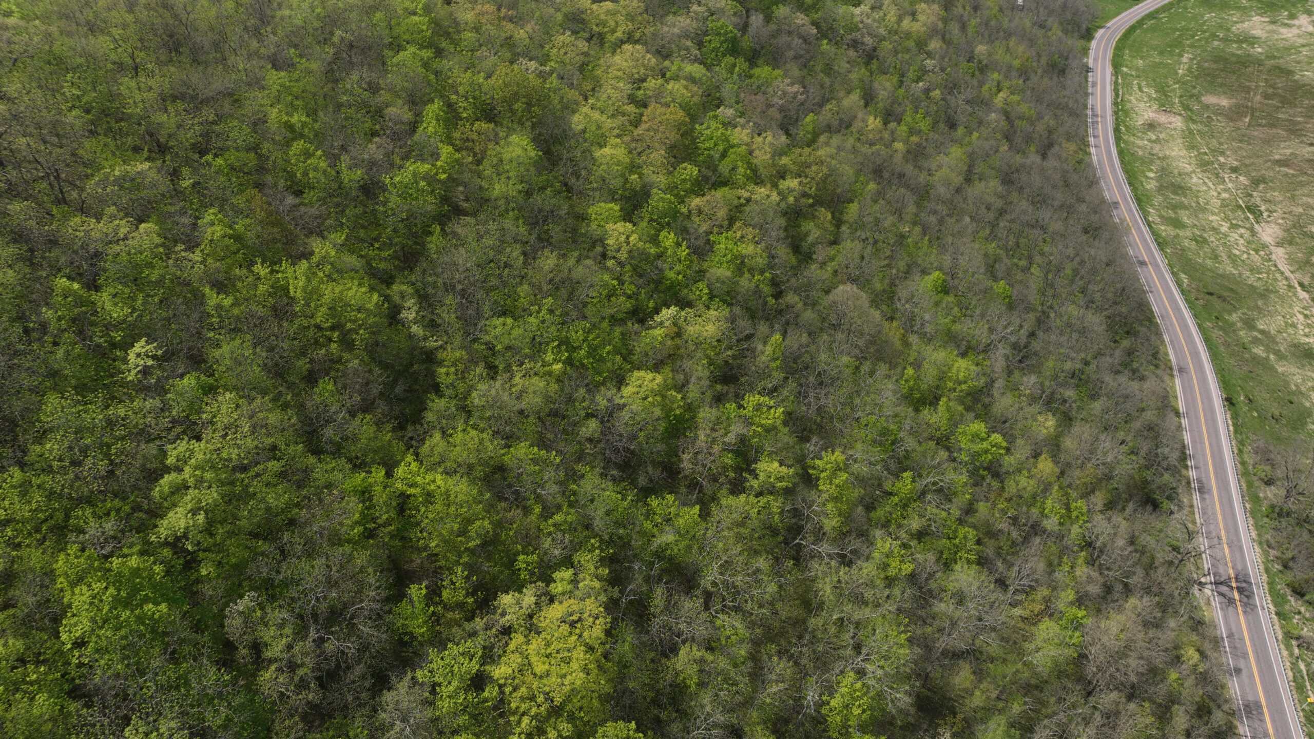34.83-Acre Southwest Wisconsin Hunting Retreat | Viola, Wisconsin