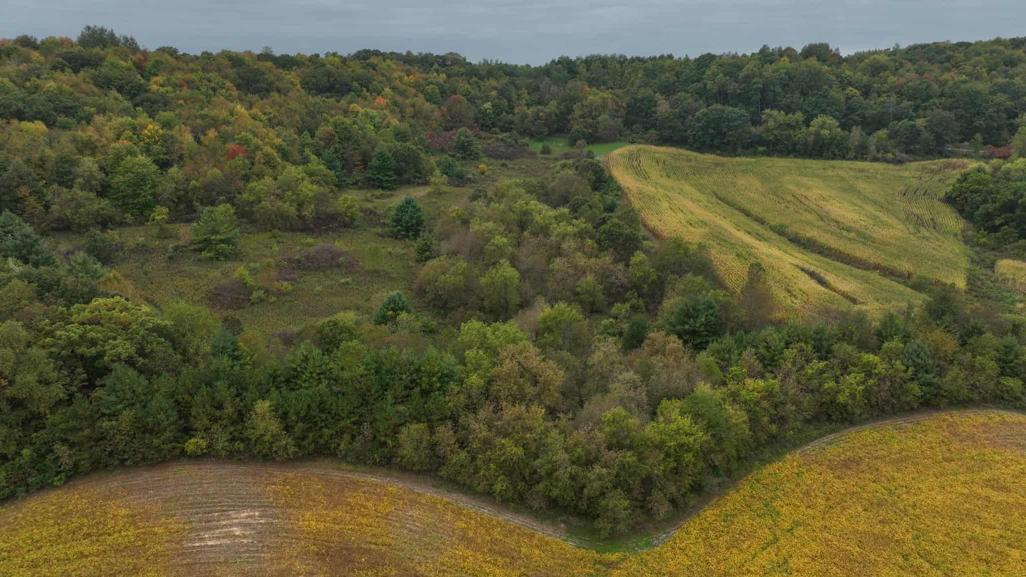 37.61-Acre Trophy Whitetail & Recreational Property | Hixton, Wisconsin