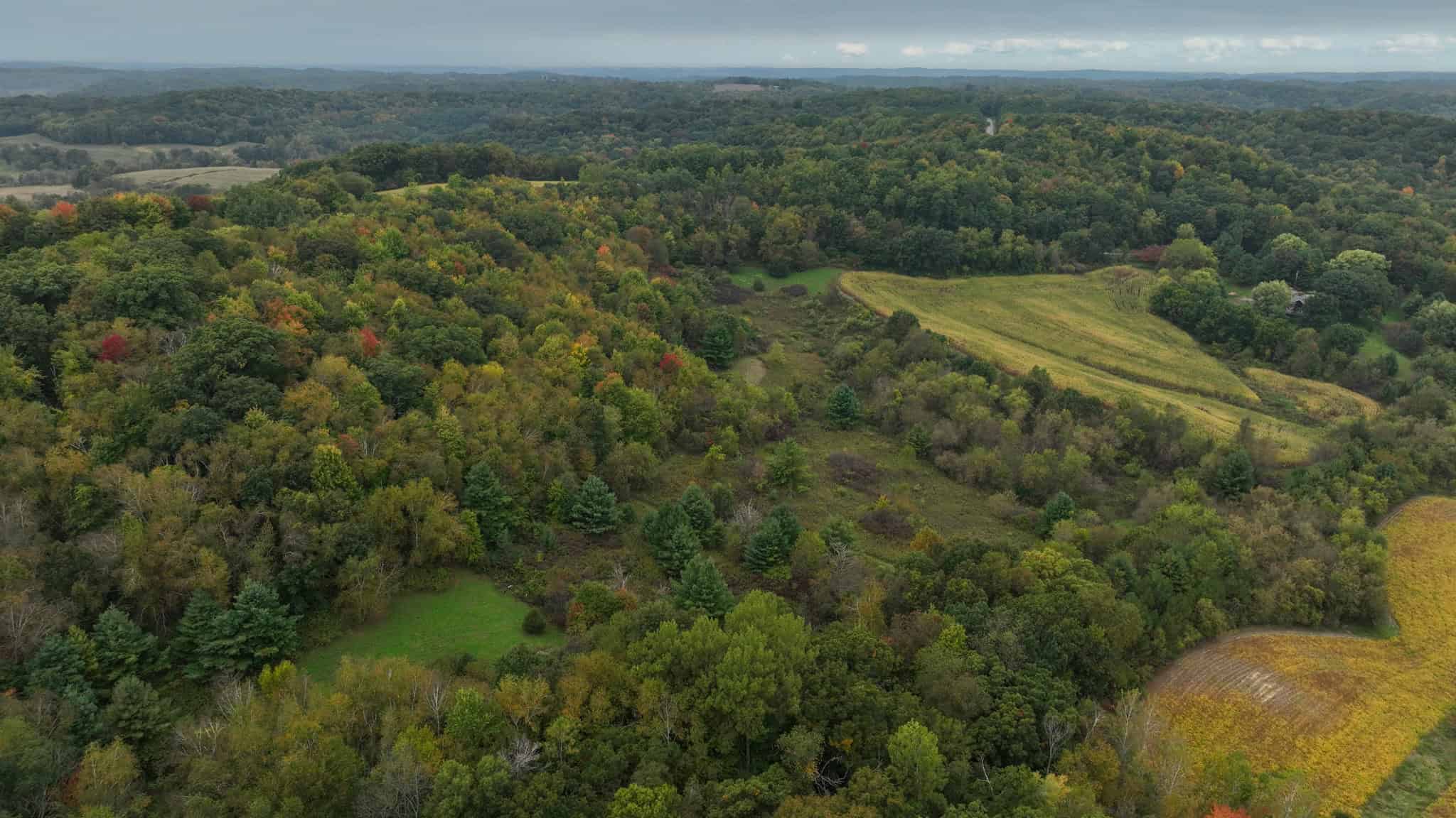 37.61-Acre Trophy Whitetail & Recreational Property | Hixton, Wisconsin
