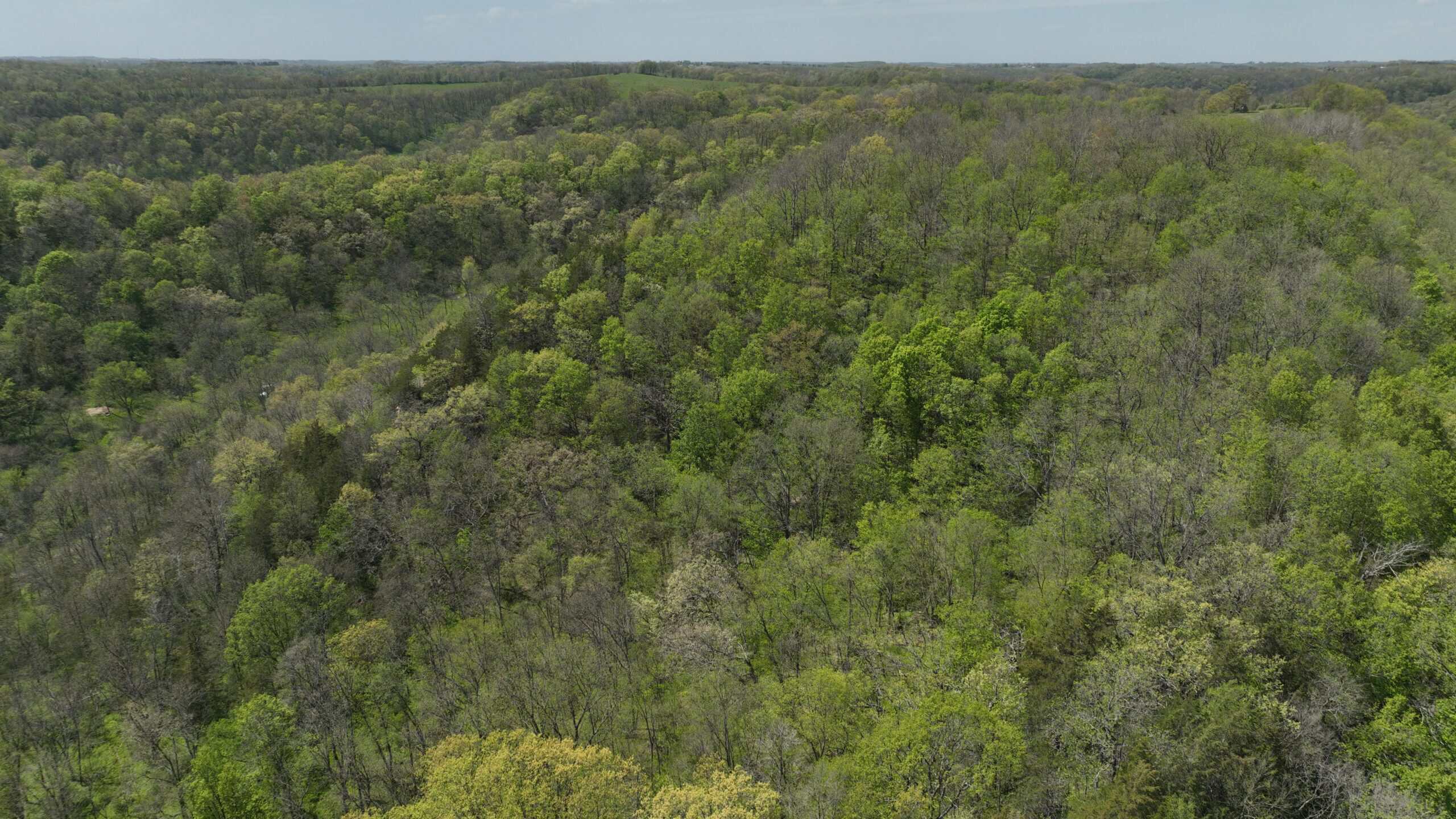 34.83-Acre Southwest Wisconsin Hunting Retreat | Viola, Wisconsin