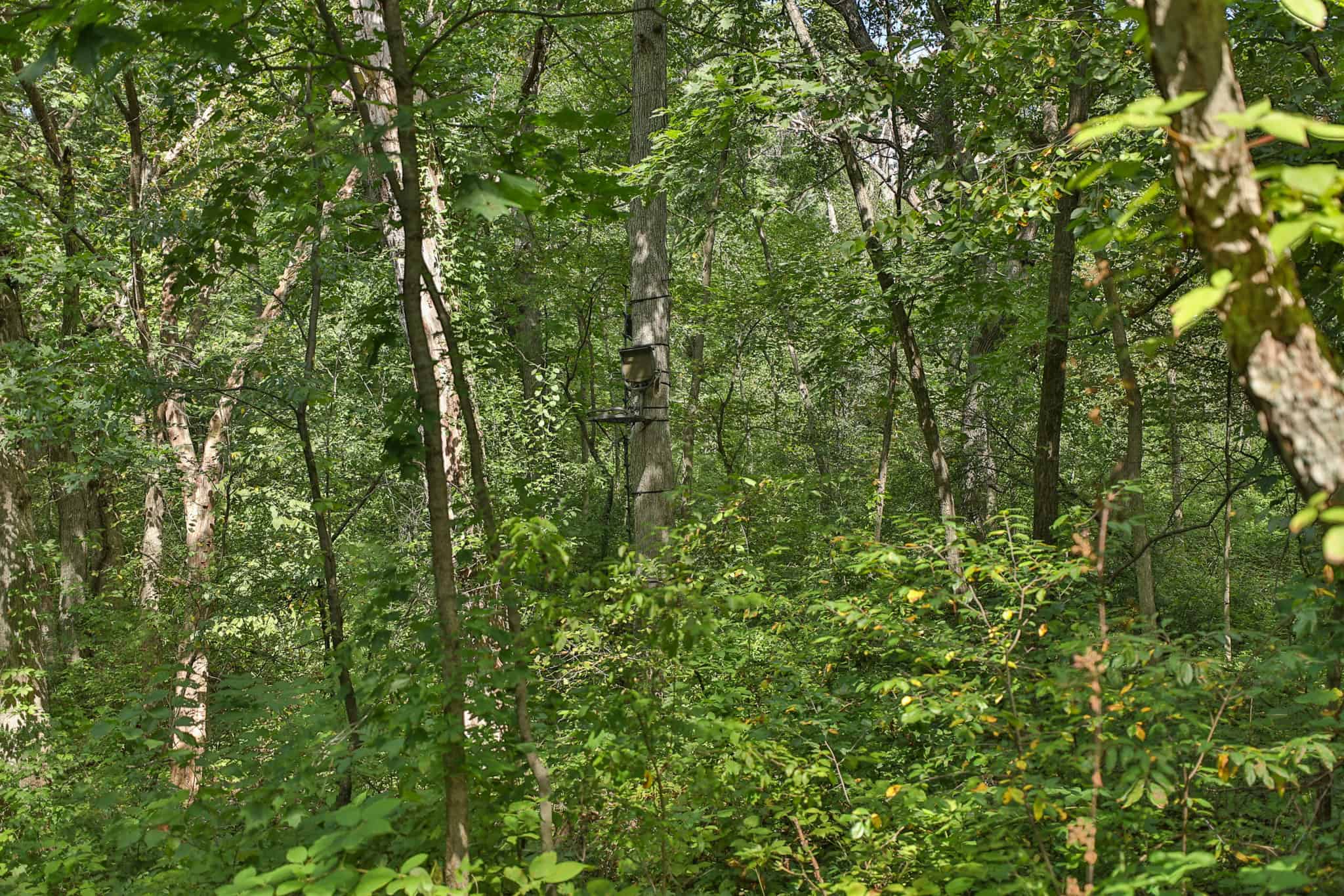 The Blue Mounds 32 — A Private Whitetail Hunting Retreat in Iowa County, Wisconsin