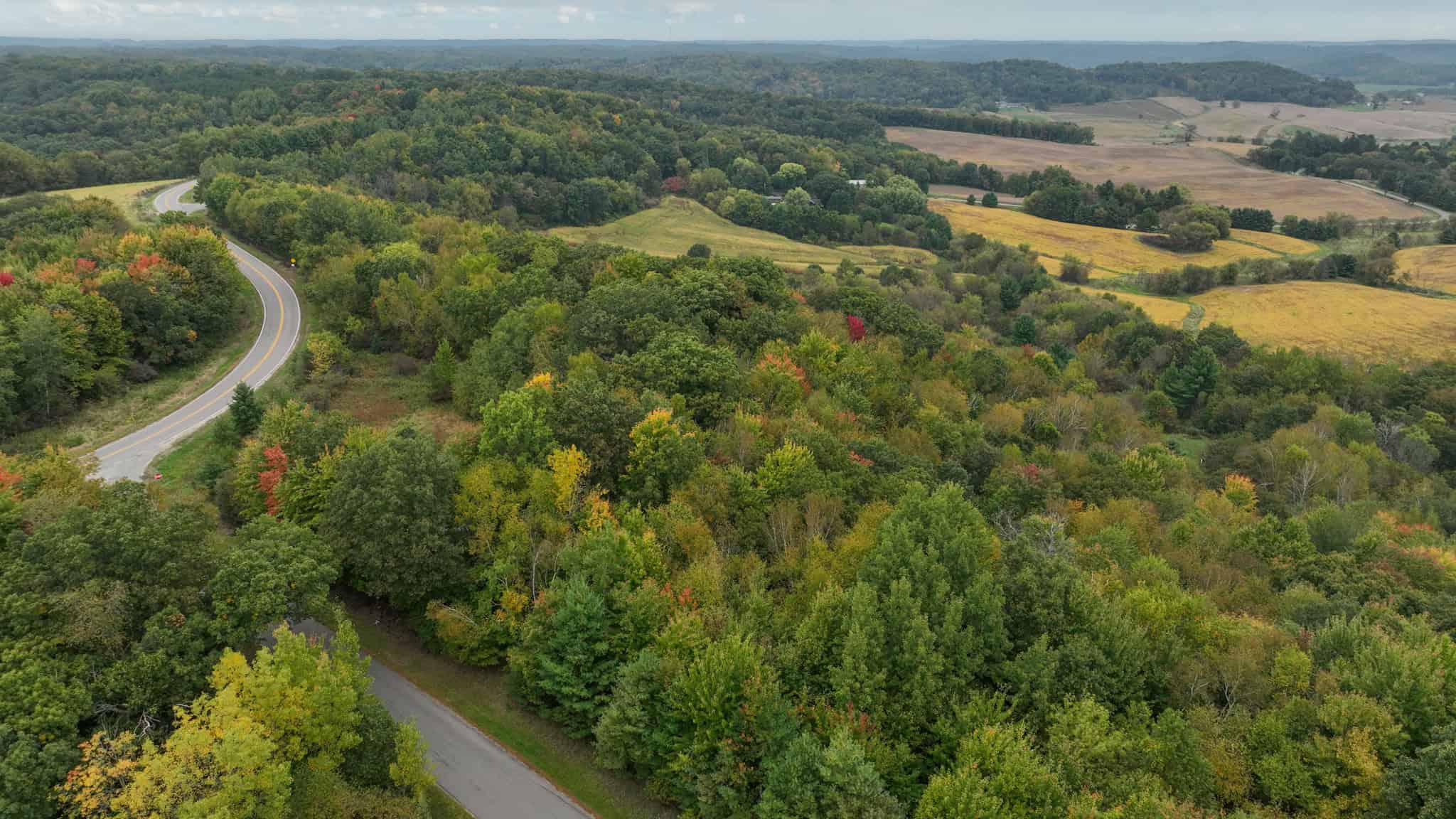37.61-Acre Trophy Whitetail & Recreational Property | Hixton, Wisconsin
