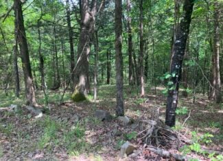 5± Acres of Wooded Hunting & Recreational Land with Creek in SE Oklahoma