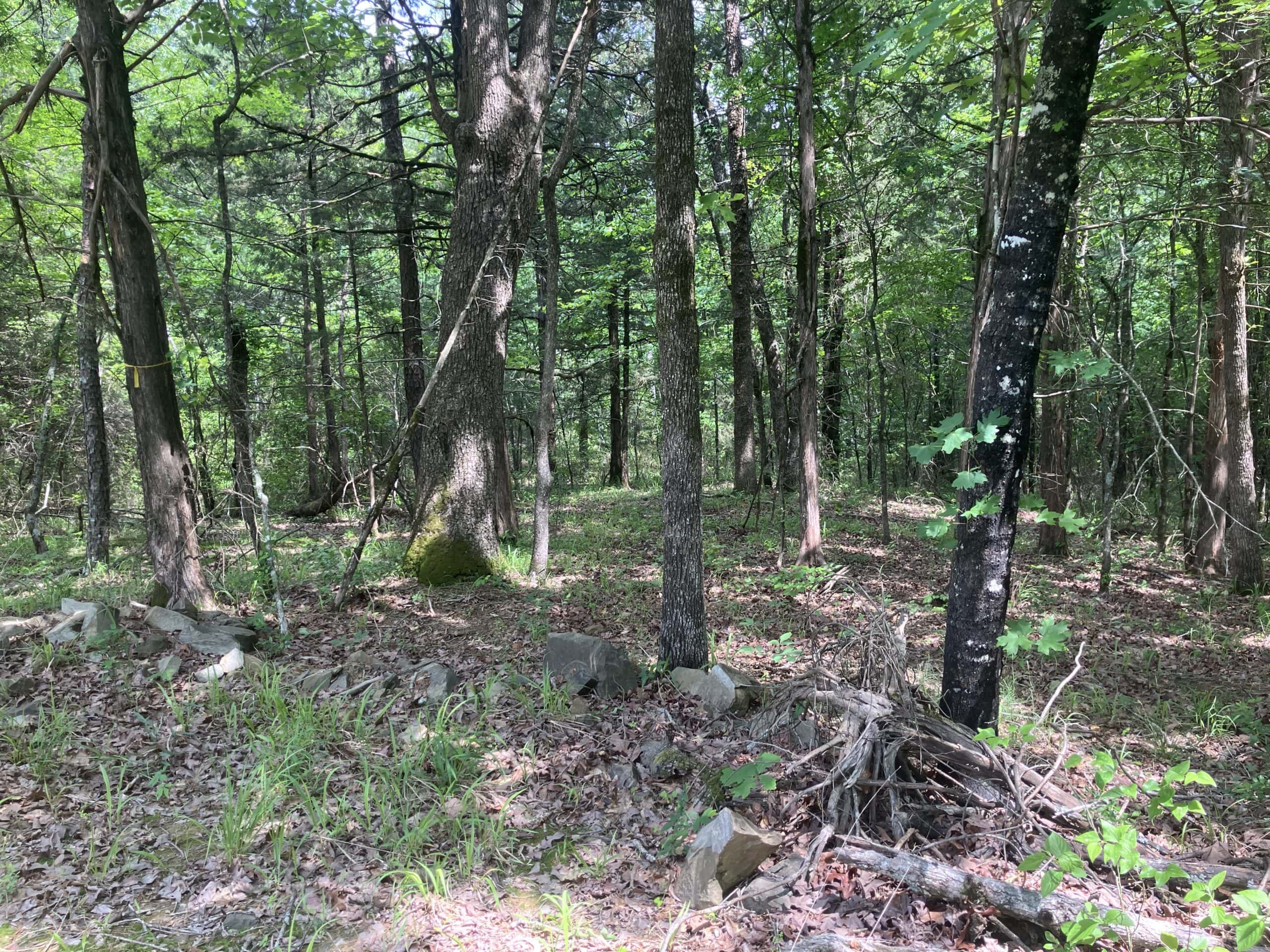 5± Acres of Wooded Hunting & Recreational Land with Creek in SE Oklahoma