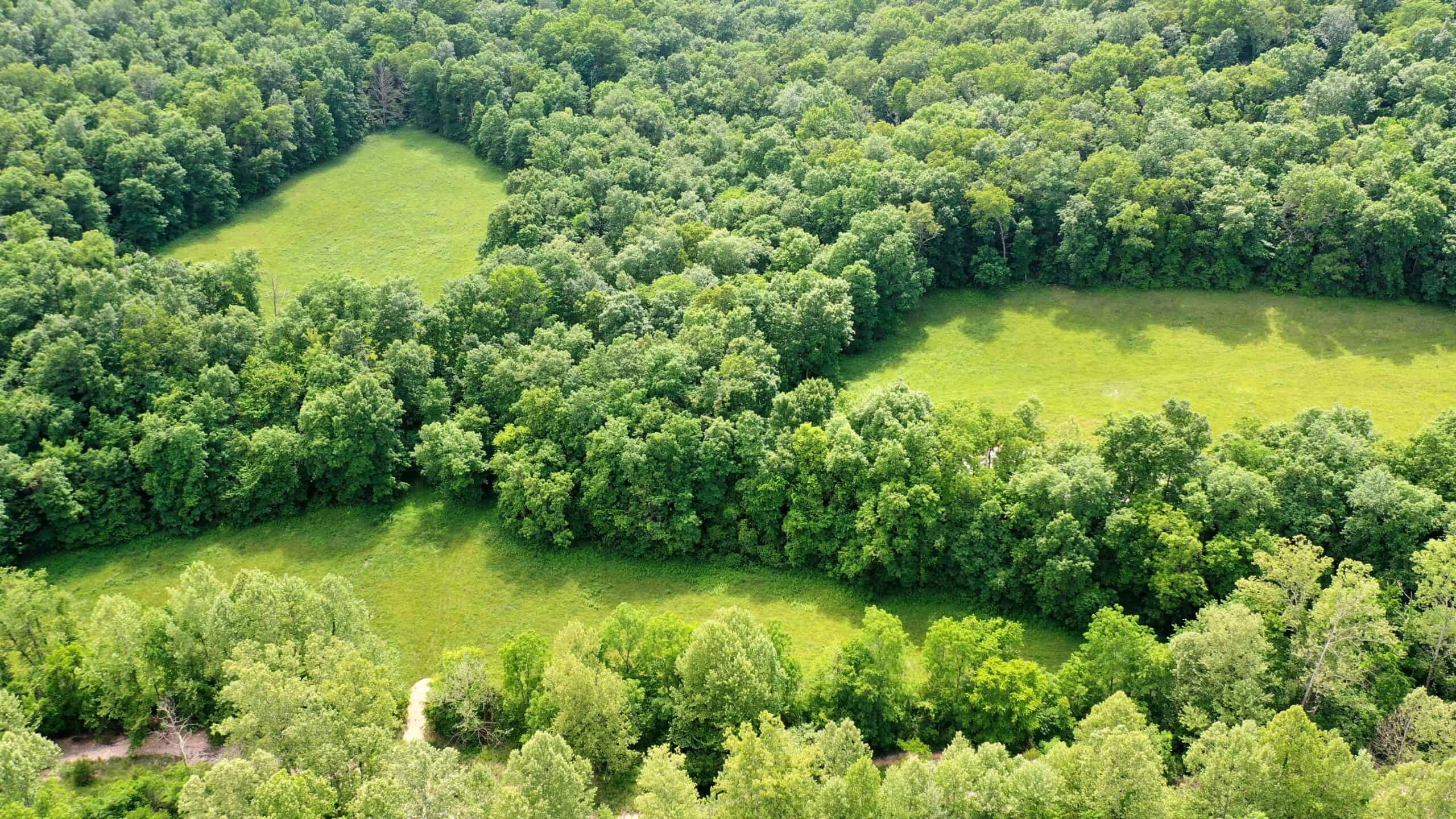 473 ± Acre Ozark Farm for Sale Near Salem, Missouri