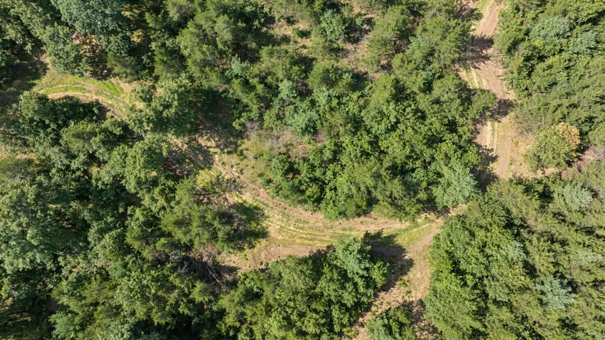 117± Acres of Irrigated Farmland and Trophy Whitetail Habitat — Adams County, Wisconsin