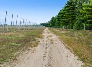 34.5± acre high-ground property in the Town of Bear Bluff