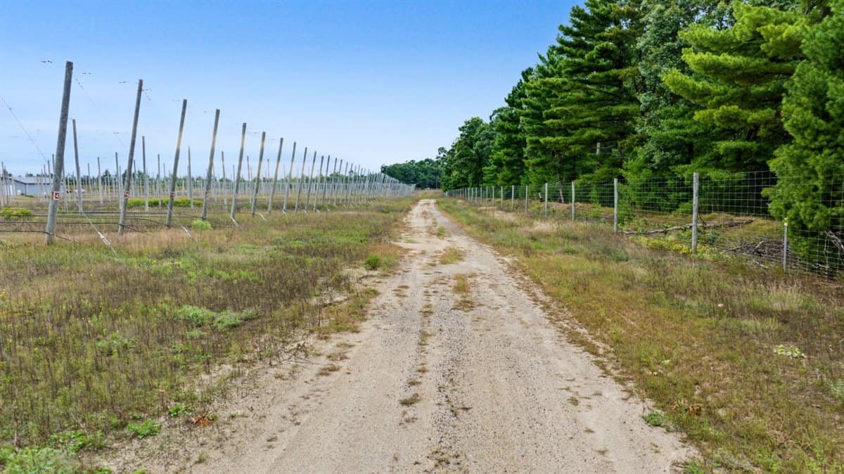 34.5± acre high-ground property in the Town of Bear Bluff