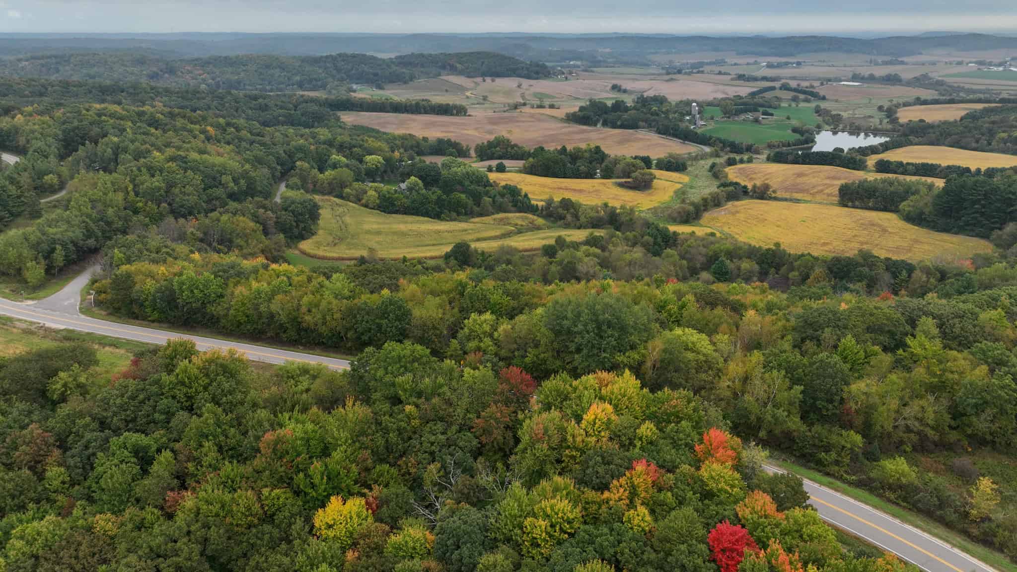 37.61-Acre Trophy Whitetail & Recreational Property | Hixton, Wisconsin