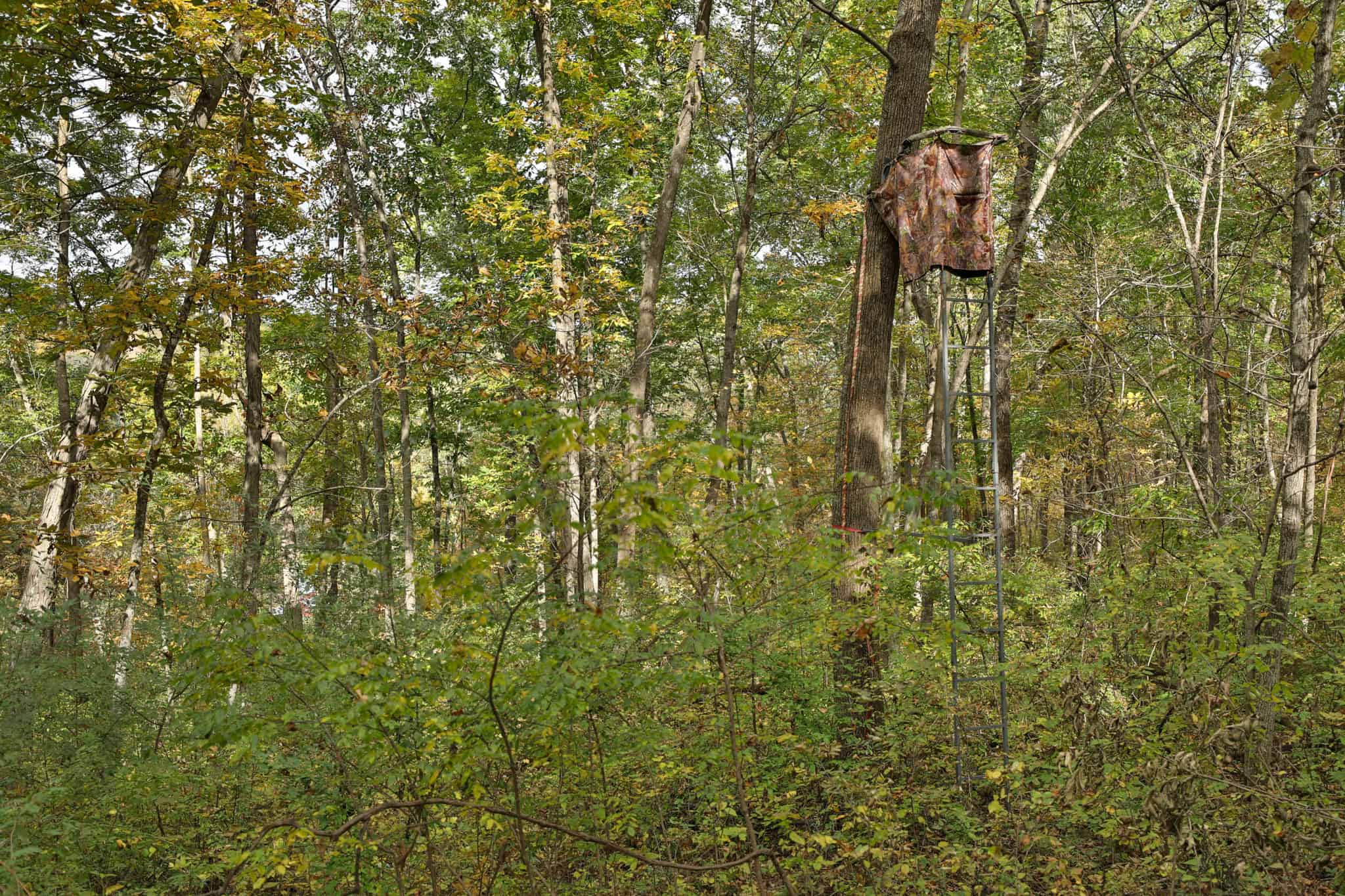 58.89-Acre Hunting Camp & Whitetail Retreat | Blue River, Wisconsin