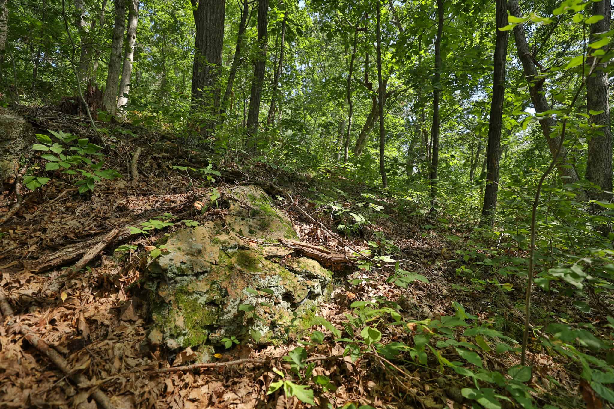 The Blue Mounds 32 — A Private Whitetail Hunting Retreat in Iowa County, Wisconsin