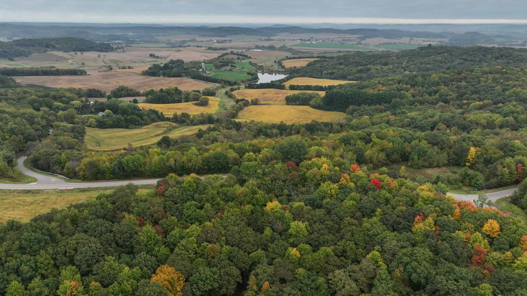 37.61-Acre Trophy Whitetail & Recreational Property | Hixton, Wisconsin