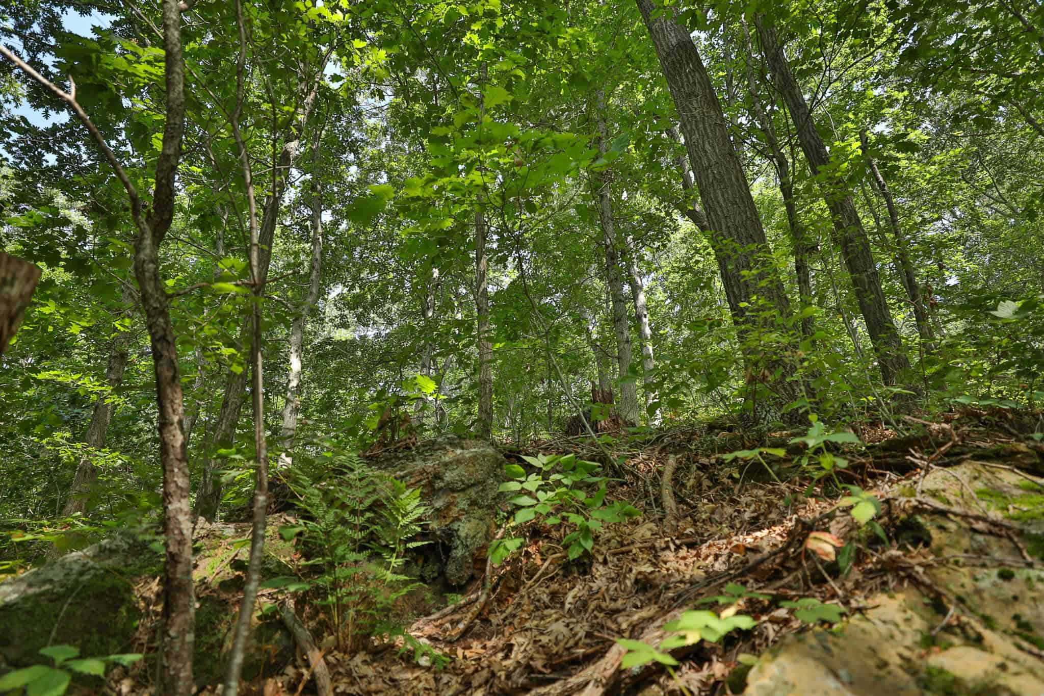 The Blue Mounds 32 — A Private Whitetail Hunting Retreat in Iowa County, Wisconsin