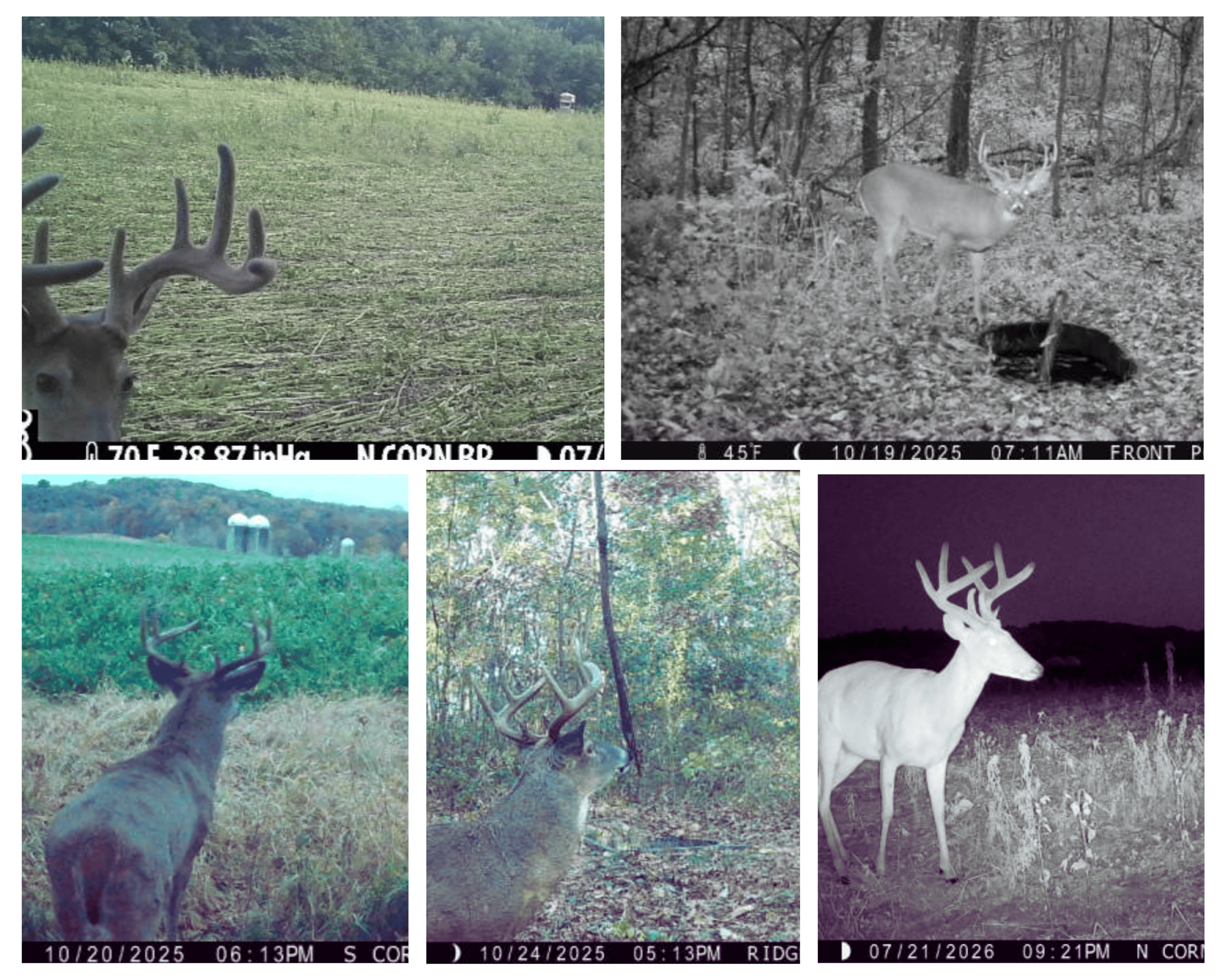 The Blue Mounds 32 — A Private Whitetail Hunting Retreat in Iowa County, Wisconsin