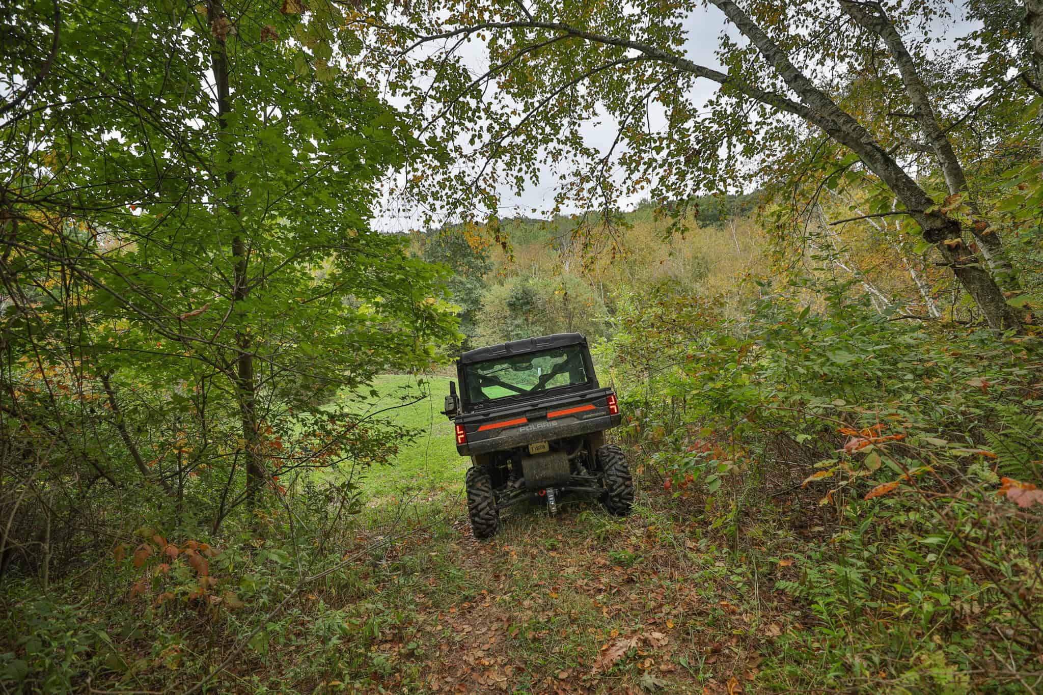 37.61-Acre Trophy Whitetail & Recreational Property | Hixton, Wisconsin