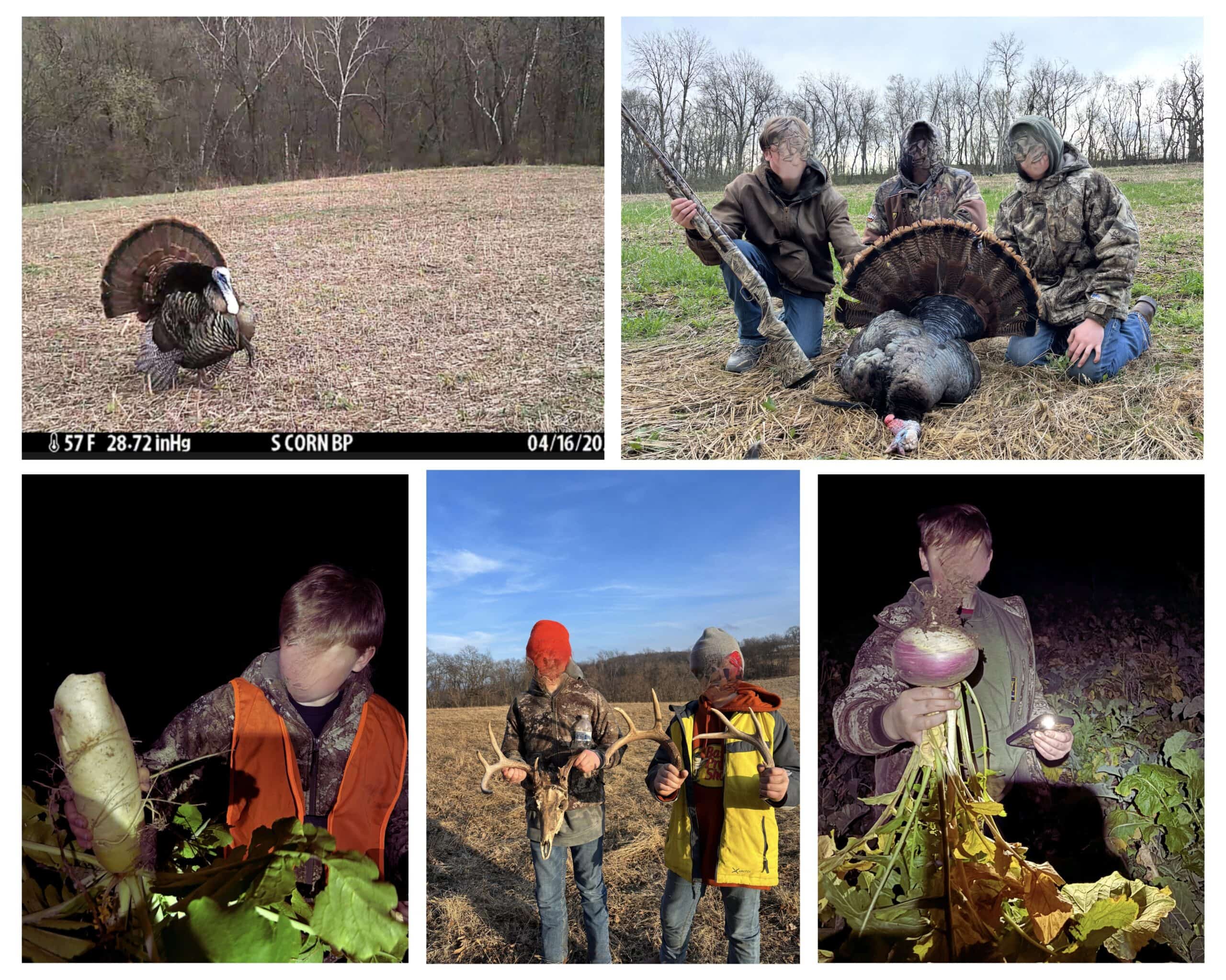 The Blue Mounds 32 — A Private Whitetail Hunting Retreat in Iowa County, Wisconsin