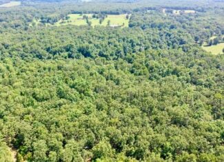 91 ± Acre Hunting Property for Sale in Salem, Missouri Ozarks