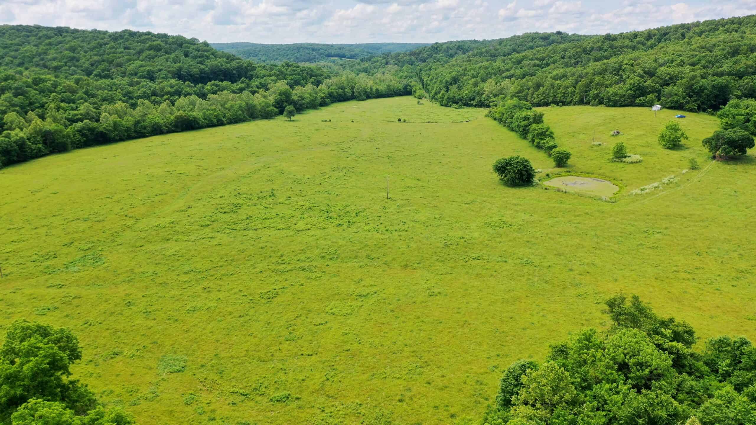 473 ± Acre Ozark Farm for Sale Near Salem, Missouri