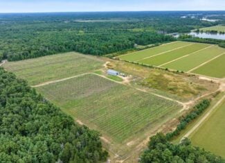 34.5± acre high-ground property in the Town of Bear Bluff
