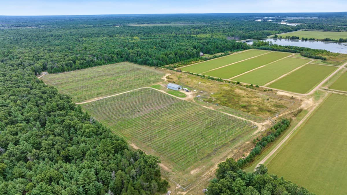 34.5± acre high-ground property in the Town of Bear Bluff
