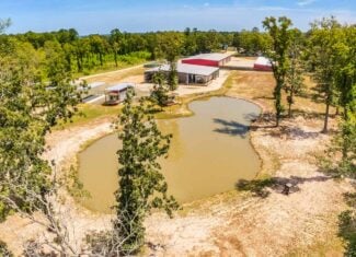 Hunting and Fishing Retreat on Sam Rayburn Lake-Zavalla, TX