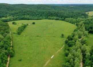 473 ± Acre Ozark Farm for Sale Near Salem, Missouri